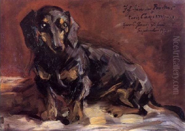 Der Schwarze Dackel Oil Painting by Lovis Corinth