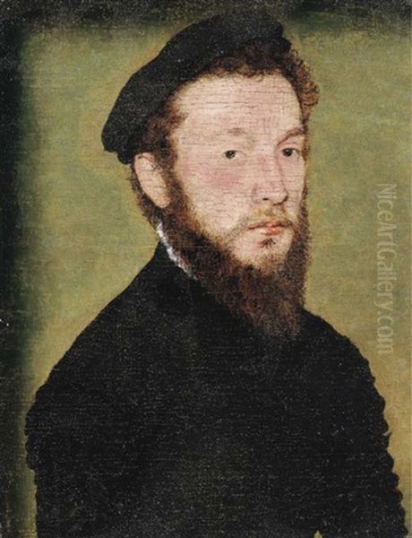 Portrait Of A Bearded Man, Half-length, In A Black Costume Oil Painting by  Corneille de Lyon