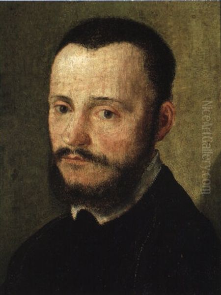 Portrait D'homme Barbu Oil Painting by  Corneille de Lyon