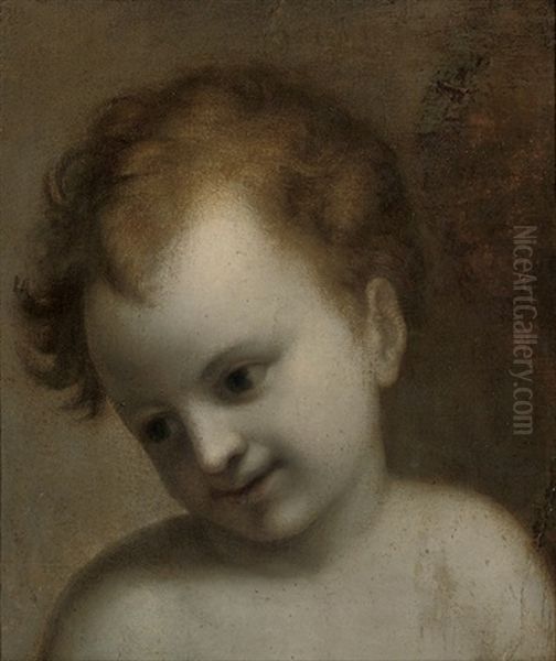 Head Of A Putto Oil Painting by  Correggio