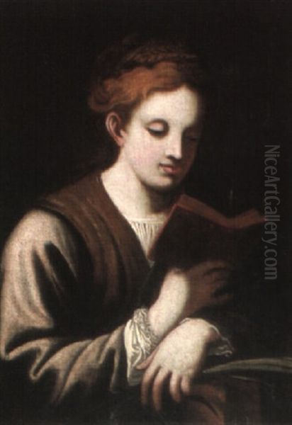 Saint Catherine Reading A Book Oil Painting by  Correggio