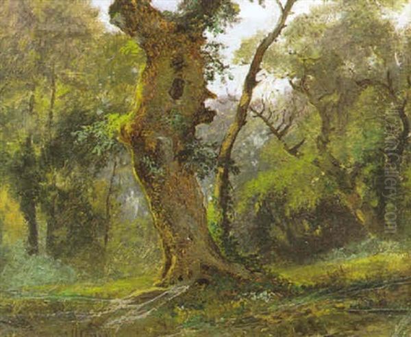 Albero Oil Painting by Hermann David Salomon Corrodi