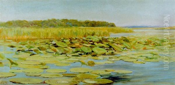 Waterlilies Oil Painting by Charles Abel Corwin