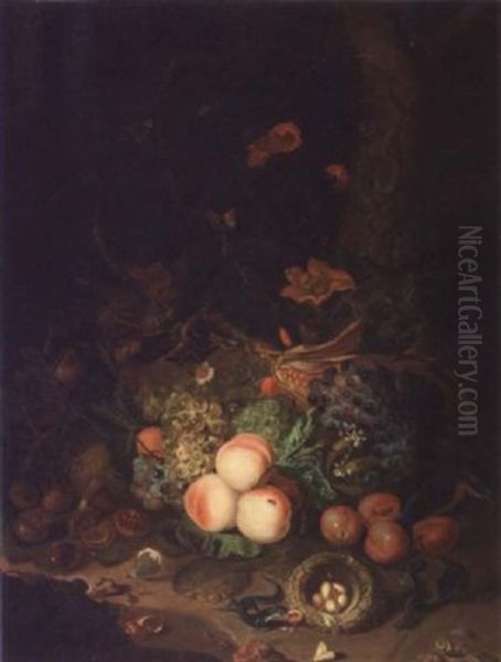 Fruits, Reptiles Et Nid D'oiseau Au Pied D'un Arbre Oil Painting by Antonio Costa