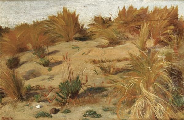 Paysage De Dune Oil Painting by Giovanni Costa