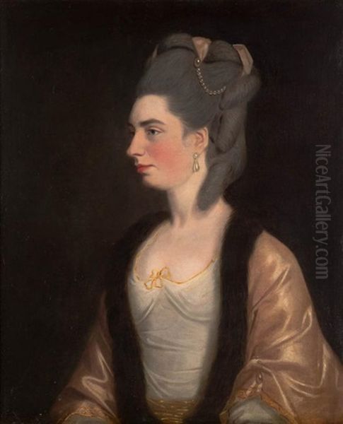 Portrait Of A Noblewoman (18th Century) Oil Painting by Francis Cotes