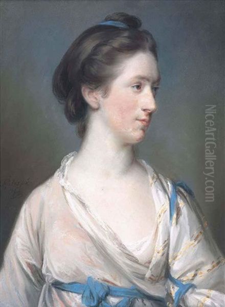 Portrait Of Dorothea Tucker (b. 1741), In A Pale Pink Dress And Blue Shawl Oil Painting by Francis Cotes