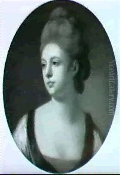 Portrait Of A Lady Said To Be Emilia, Duchess Of            Leinster, Bust Length Oil Painting by Francis Cotes