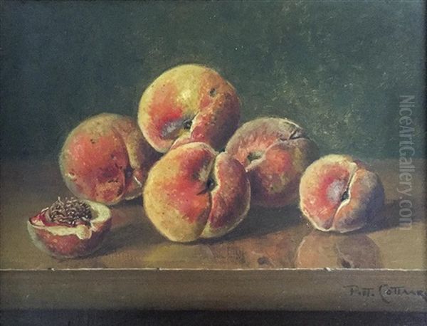 Peaches Oil Painting by Petrus Johannes M. (Piet) Cottaar