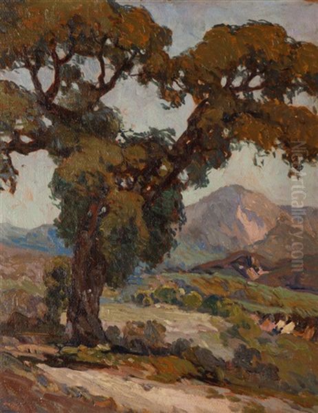 Old Oak Near Banning Oil Painting by John Wesley Cotton