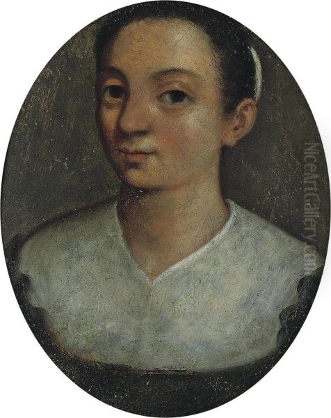 Portrait Of A Lady, Traditionally Identified As The Artist, Bust-length Oil Painting by Lucia Anguissola