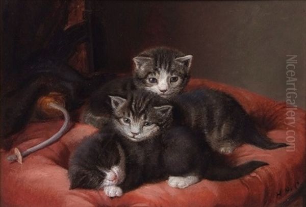 Motherless (cat Studies) Oil Painting by Horatio Henry Couldery