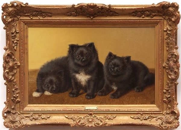 Three Pomeranians Oil Painting by Horatio Henry Couldery