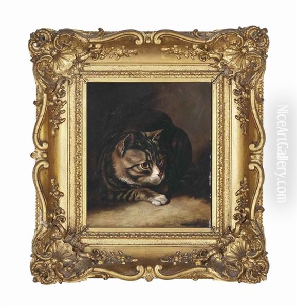 A Tabby Cat Oil Painting by Horatio Henry Couldery