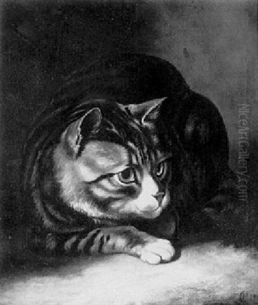 A Tabby Cat Oil Painting by Horatio Henry Couldery