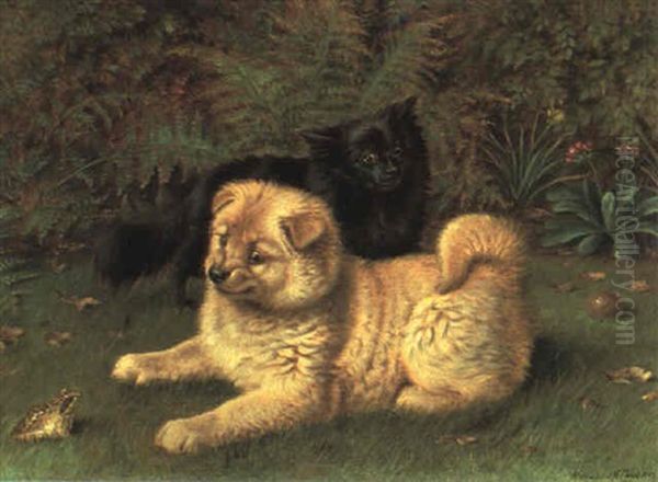 The Intruder; Chow Puppies And A Frog Oil Painting by Horatio Henry Couldery