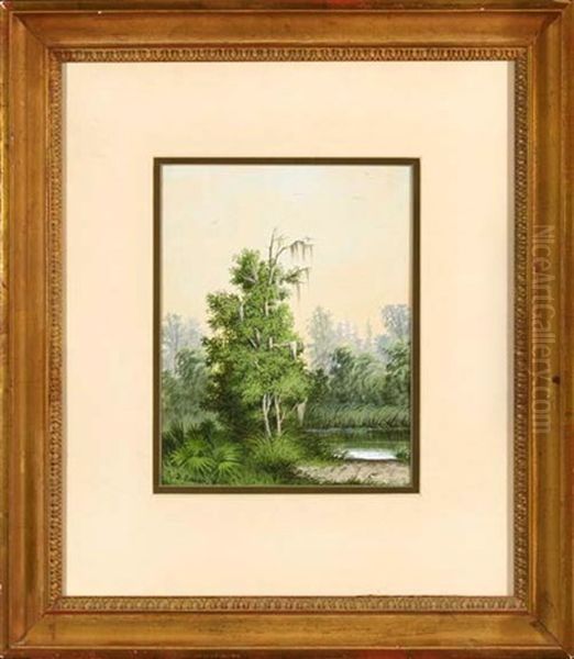 Cypress Trees And Palmettos Along The Bayou Oil Painting by George David Coulon