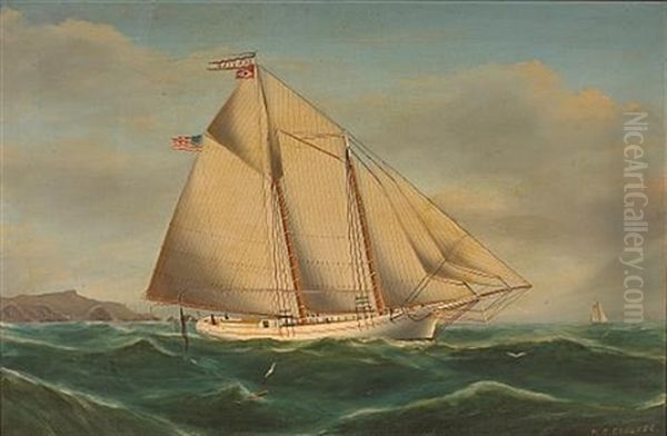 Sea Foam, A Schooner Outside Of The San Francisco Bay With The Farallones Beyond Oil Painting by William Alexander Coulter