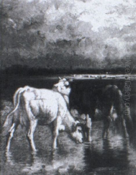 Cows Drinking In A Marsh Oil Painting by Charles Coumant