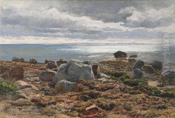 Steiniger Strand Oil Painting by Janus la Cour