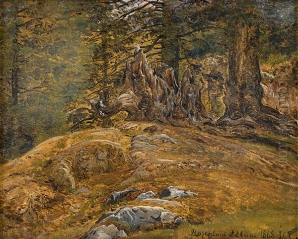 Waldpartie Bei Rosenlaui Im Grindelwald In Der Schweiz Oil Painting by Janus la Cour