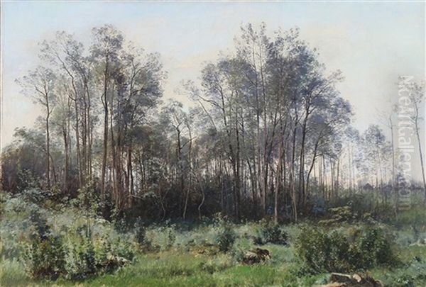 A Forest Clearing Oil Painting by Janus la Cour