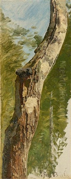 Tree Trunk Oil Painting by Janus la Cour