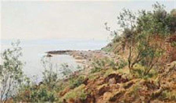 Coastal Scene From Moesgaard Beach Oil Painting by Janus la Cour