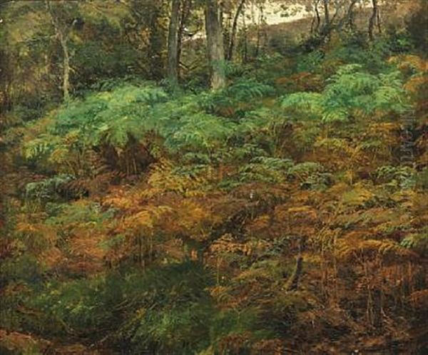 Ferns On The Forest Floor Oil Painting by Janus la Cour