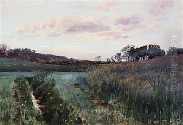 Evening Landscape Oil Painting by Janus la Cour