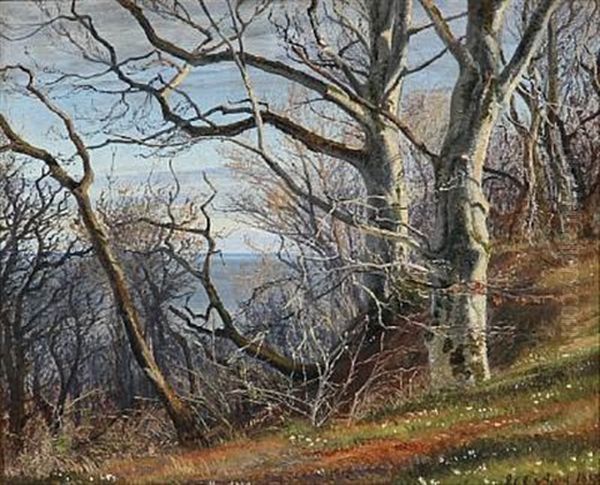 Spring Day At A Hillside With Beeches And Anemones, In The Background The Sea Oil Painting by Janus la Cour