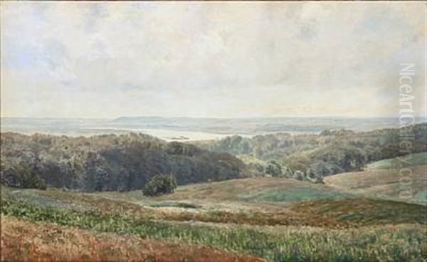 View Towards Silkeborgsoerne, Denmark Oil Painting by Janus la Cour