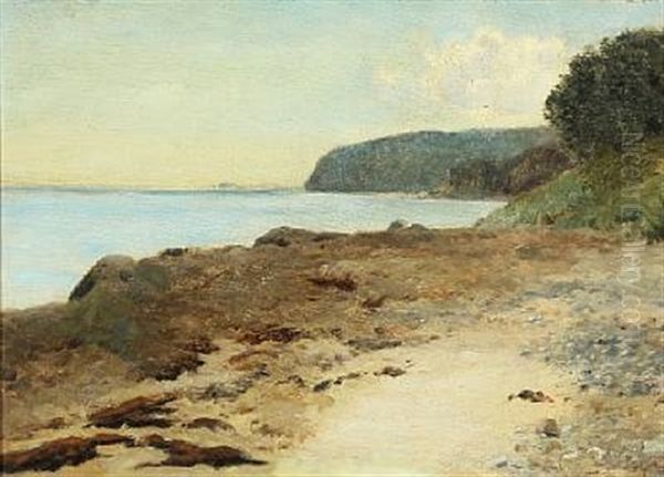 Strandparti, Aarhusbugten (moesgard) Oil Painting by Janus la Cour