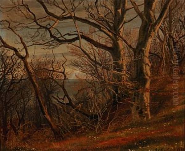 Autumn Day At A Hillside With Beeches And Anemones, In The Background The Sea Oil Painting by Janus la Cour