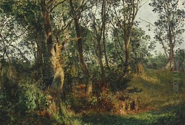 Danish Forest With Glade Oil Painting by Janus la Cour