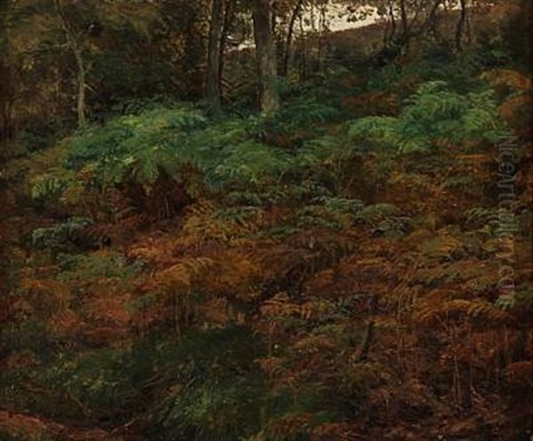 Ferns On The Forest Floor Oil Painting by Janus la Cour