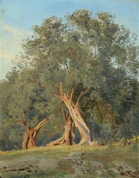 Olivenlund/olivegrove Oil Painting by Janus la Cour