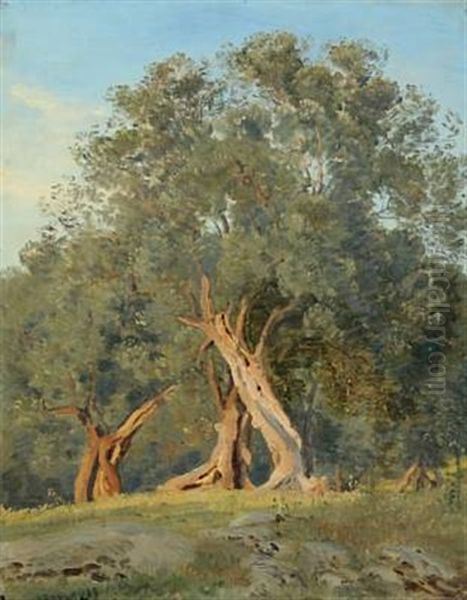 Olivenlund Oil Painting by Janus la Cour