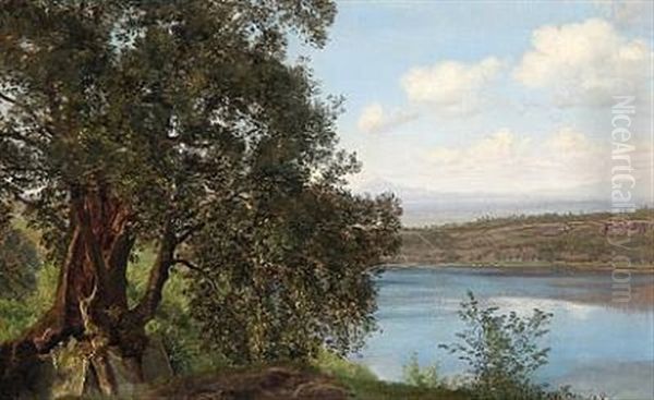 View From Lago Di Castello In Italy Oil Painting by Janus la Cour