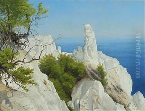 View From Moen Oil Painting by Janus la Cour