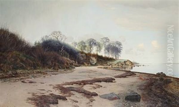 Quiet Afternoon At Moesgaard Beach, Aarhus Oil Painting by Janus la Cour