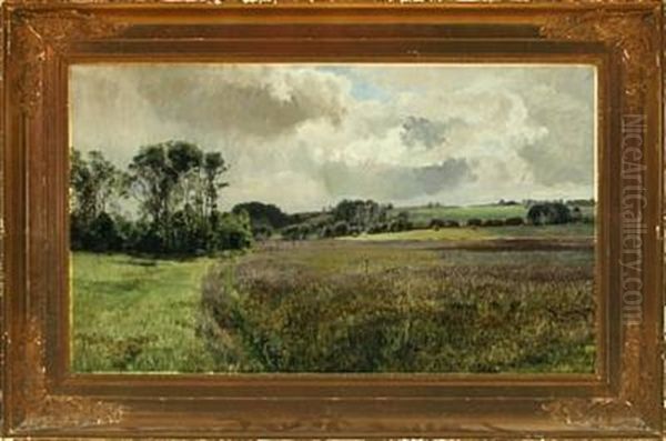 Moor Landscape, Fulden By Aarhus Oil Painting by Janus la Cour