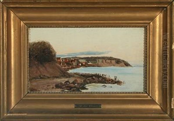 Costal Scenery With Houses Oil Painting by Janus la Cour