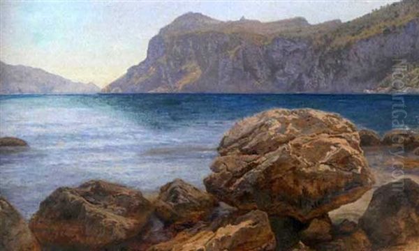 View Of Capri Oil Painting by Janus la Cour