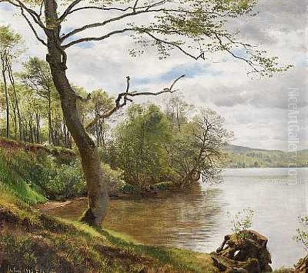 Skovso, Sommer, Antagelig Fra Egnen Omkring Himmelbjerget Oil Painting by Janus la Cour