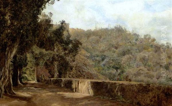 Parti Fra Villa D'este Oil Painting by Janus la Cour