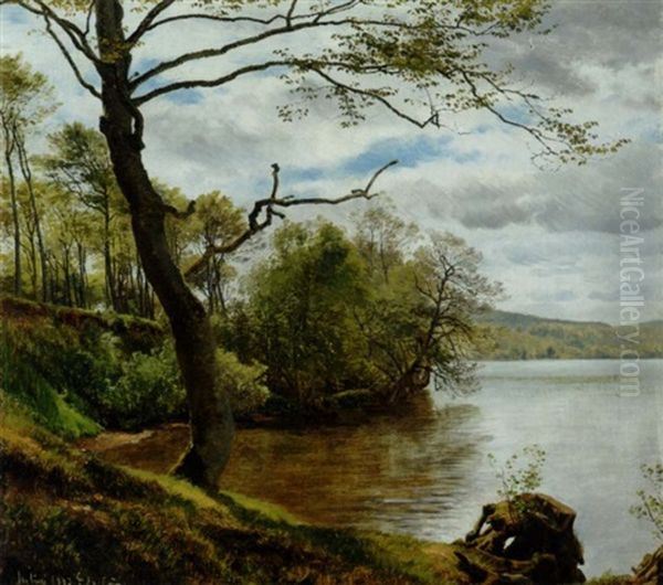 Skovso, Sommer Oil Painting by Janus la Cour