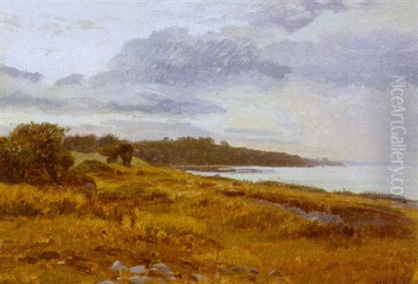 Aftenstemning Ved Flojstrup Strand Oil Painting by Janus la Cour