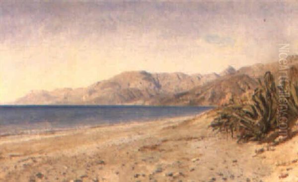 Kystparti, I Forgrunden Agaver, Bordighera Oil Painting by Janus la Cour