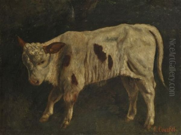 Le Boeuf Oil Painting by Gustave Courbet